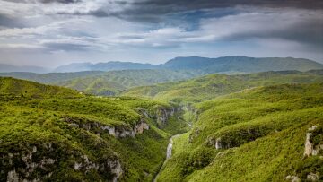Οι Εθνικοί Δρυμοί της Ελλάδας: Μοναδικά οικοσυστήματα ζωής