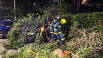 Δέντρο καταπλάκωσε αυτοκίνητο στο Χολαργό, δείτε φωτογραφίες