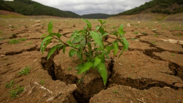 Τουρκία: Κίνδυνος επισιτιστικής κρίσης λόγω ξηρασίας