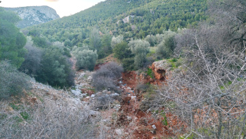Μυστήριο με τη δολοφονία του 27χρονου που βρέθηκε σε ρέμα στη Νέα Πέραμο: Το βίντεο της αρπαγής και ο νεκρός επιχειρηματίας στη Μάνδρα το 2024