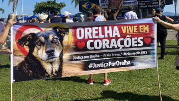 Διαδηλώσεις στη Βραζιλία μετά την κακοποίηση μέχρι θανάτου αδέσποτου σκύλου, δείτε βίντεο 
