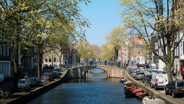 Το Άμστερνταμ εγκαθιστά εκατοντάδες μικροσκοπικές σκάλες στα κανάλια του για να προστατεύσει τα ζώα