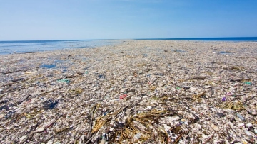 Το «νησί» που δεν θα έπρεπε να υπάρχει: Πώς τα σκουπίδια δημιούργησαν ένα επικίνδυνο οικοσύστημα στον Ειρηνικό Ωκεανό