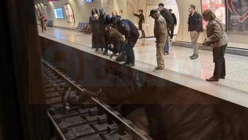 Άνδρας έχασε τις αισθήσεις του και έπεσε στις ράγες του μετρό στους Αμπελόκηπους