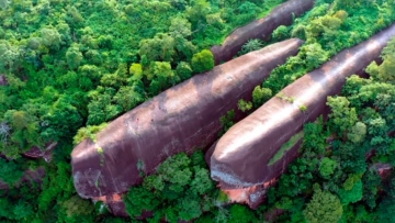 Πώς σχηματίστηκαν οι τρεις εντυπωσιακές «φάλαινες» της Ταϊλάνδης που μοιάζουν να... κολυμπούν μέσα στο δάσος