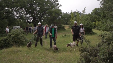 Δραστηριότητες φύσης και πολιτισμού του Μουσείου Φυσικής Ιστορίας Μετεώρων και Μουσείου Μανιταριών για την Αποκριά, δείτε βίντεο