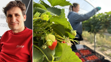 Ισπανική απόβαση στην Ηλεία: Η εξαγορά της Kyriazis από την El Pinar και τα σχέδια για επέκταση