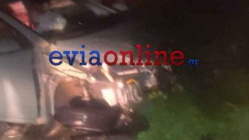 Τροχαίο στην Εύβοια:  Αυτοκίνητο χτύπησε αγριογούρουνο, τρεις τραυματίες 