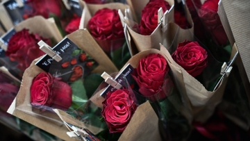 «Πυρετός» στα ανθοπωλεία για την Ημέρα του Αγίου Βαλεντίνου: Πού κυμαίνονται οι τιμές, τι προτιμούν οι καταναλωτές