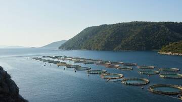 Τέλος στο σίριαλ της Avramar, στους Άραβες της Aqua Bridge ο έλεγχος