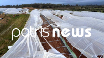 Είκοσι στρέμματα θερμοκηπίων ισοπεδώθηκαν στο Μπόρσι Ηλείας από ανεμοστρόβιλο, δείτε φωτογραφίες
