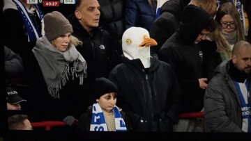 Λίβερπουλ - Μπράιτον: Ψαγμένος οπαδός πήγε στο Άνφιλντ ντυμένος... γλάρος
