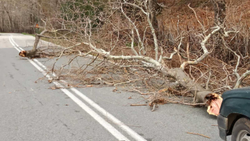 Προβλήματα στη Σαμοθράκη από τους ανέμους: Χωρίς ρεύμα μεγάλο μέρος του νησιού 