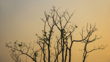 Τέλος στο «μίνι καλοκαίρι» του χειμώνα: Η La Nina επηρεάζει τις Αλκυονίδες ημέρες
