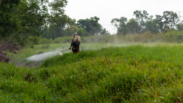 Ο Τραμπ θέλει να υποστηριχτεί η παραγωγή του αμφιλεγόμενου ζιζανιοκτόνου γλυφοσάτη στις ΗΠΑ