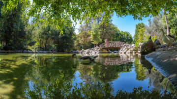 
Από το Αττικό Άλσος στον Εθνικό Κήπο: Κυριακάτικη βόλτα στα ωραιότερα πάρκα της πόλης
