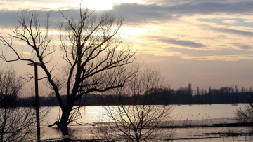 Σε Red Code ξανά ο Έβρος λόγω κινδύνου για πλημμύρες: Έσπασε κύριο ανάχωμα του ποταμού στην Κορνοφωλιά