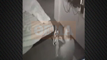 Ξεσπά η μητέρα της 25χρονης ΑμεΑ στην Κυψέλη: Αηδιαστικό το βίντεο από το σπίτι μου, εάν το δείξουν θα καταλάβουν όλοι με τι έκτρωμα έχουμε να κάνουμε