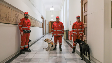 Δωρεά σκύλων διασωστών από τη Βουλή, ο King και η Kira στο δυναμικό του Ερυθρού Σταυρού
