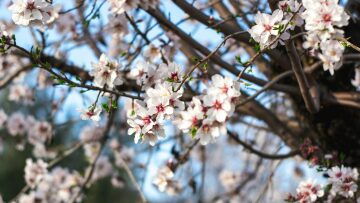 5 στιγμές χαράς που έρχονται με τις πρώτες ημέρες της Άνοιξης
