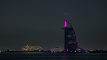 Politico: Εκρήξεις, πανικόβλητοι influencers, στελέχη πολυεθνικών και... κατοικίδια, πώς τελείωσε το πάρτι στο Ντουμπάι