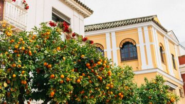 5 στιγμές χαράς που έρχονται με τις πρώτες ημέρες της Άνοιξης
