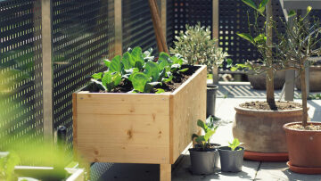 Ανοιξιάτικα λαχανικά που μπορούν να μετατρέψουν το μπαλκόνι σε μικρό μποστάνι