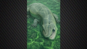 Ανακαλύφθηκε παράξενο προϊστορικό ζώο με στριμμένη γνάθο και δόντια που κοιτούσαν στο πλάι που ζούσε πριν από 275 εκατ. χρόνια