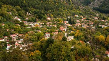 Από την Αθήνα στο Βασιλικό Πωγωνίου: Ένας πρώην ηχολήπτης προσπαθεί να κρατήσει ζωντανό το χωριό