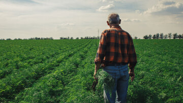 Έκρηξη στις τιμές λιπασμάτων με φόντο τη Μ. Ανατολή: Κίνδυνος για τα τρόφιμα και νέος «βραχνάς» για τους αγρότες
