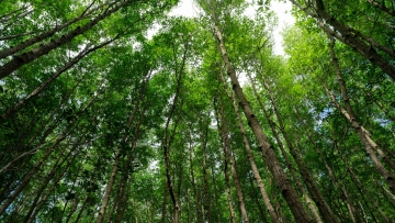  Ο Φεβρουάριος ανάμεσα στους πιο θερμούς παγκοσμίως στα χρονικά, οι εντυπωσιακές αντιθέσεις