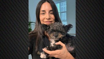 Επιχείρηση «Κιβωτός»: 92 Έλληνες εγκλωβισμένοι  σε Ντουμπάι και Άμπου Ντάμπι, ζητούν επαναπατρισμό μαζί με περίπου 100 κατοικίδια