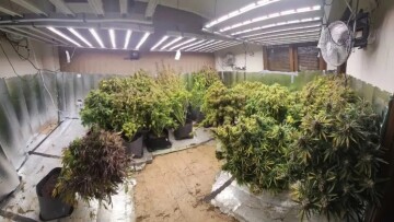 Εξαρθρώθηκε εγκληματική οργάνωση που είχε στήσει εργαστήρι υδροπονικής κάνναβης σε μονοκατοικία στη Θεσσαλονίκη, βίντεο και φωτογραφίες