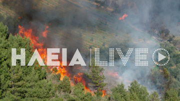 Φωτιά τώρα σε δάσος στα Βυτιναίικα Πύργου Ηλείας, σηκώθηκε ένα αεροσκάφος