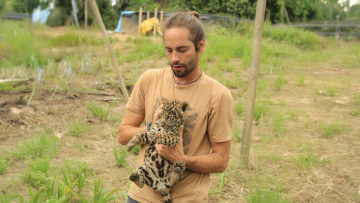 Ο κτηνίατρος που γύρισε από τη ζούγκλα: Ο Μανώλης Κουμαντάκης έσωσε μυρμηγκοφάγο στον Αμαζόνιο και τώρα περιθάλπει ιγκουάνα στην Αθήνα, δείτε φωτογραφίες