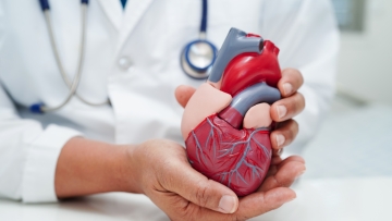 Ανεύρυσμα κοιλιακής αορτής: Ποια είναι τα συμπτώματα ρήξης και ποιοι κινδυνεύουν περισσότερο, τι εξηγεί ο αγγειοχειρουργός