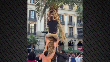 Σαν μικρά παιδιά οι οπαδοί της Νιούκαστλ στη Βαρκελώνη: Σκαρφάλωσαν σε δέντρα και βούτηξαν σε σιντριβάνι, βίντεο