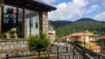 Μηλιά Μετσόβου: Το χωριό που βαλσάμωσε αρκούδα και τη τοποθέτησε στην πλατεία του