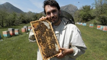 Μέλι ελάτης «βανίλια»: Γιατί κάποιες χρονιές δεν υπάρχει καθόλου - Ένας μελισσοκόμος εξηγεί