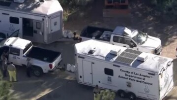 Επιχείρηση - μαμούθ στο Λος Άντζελες για να σωθούν 700 σκύλοι και γάτες, η μεγσλύτερη στην ιστορία των ΗΠΑ, βίντεο