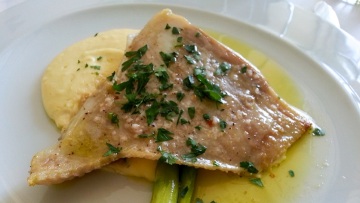 Σαλάχι: Ένας υποτιμημένος θαλασσινός μεζές – Πώς τρώγεται και τι να προσέχουμε