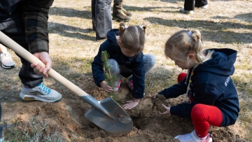 Πρόγραμμα φύτευσης 6.000 δέντρων για την ενίσχυση του παράκτιου πευκοδάσους της Σάνης στη Χαλκιδική
