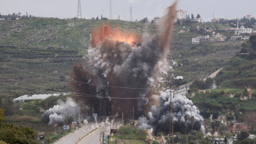 anatinaksi-gefyras-hor