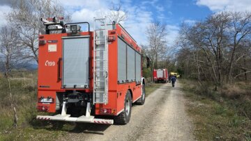 Τραγωδία στην Υπάτη: Νεκρός 68χρονος που καταπλακώθηκε από δέντρο μπροστά στα μάτια της συζύγου του