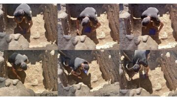 «Modern ARTεμις – Η αρχαία Αμάρυνθος στην Εύβοια»:  Μια έκθεση που συνδέει την αρχαιολογία με την εικαστική δημιουργία 