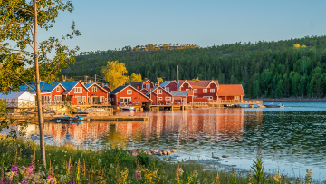 Το πράσινο φάρμακο – Μια δωρεάν θεραπεία για όλους
