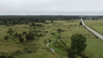 Ανατροπή στην ιστορία της Αμερικής: Μελέτη δείχνει πότε πραγματικά κατοίκησαν εκεί οι άνθρωποι