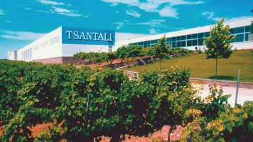 Σε κρίση γνωστές ελληνικές οινοποιίες – Πώς βρέθηκαν σε αδιέξοδο