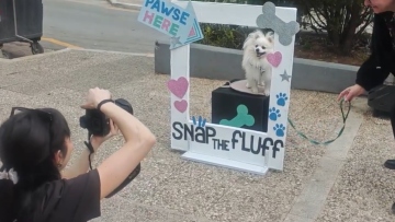 Δωρεάν φωτογράφιση για κατοικίδια στο Παγκράτι, σε υπαίθριο στούντιο μετατράπηκε η πλατεία Βαρνάβα  
