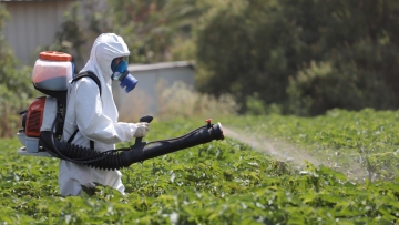 Έρευνα δείχνει ισχυρή συσχέτιση μεταξύ της έκθεσης σε φυτοφάρμακα και του κινδύνου εμφάνισης καρκίνου